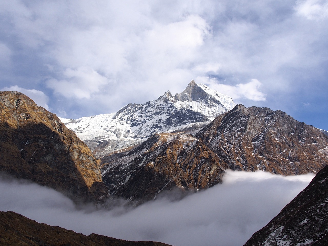 The Spiritual Energy of Nepal's Buddha Purnima